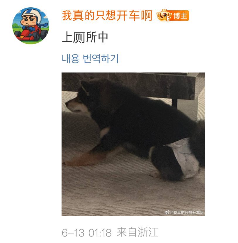 myomxxw's tweet photo. 강아버지딸램노력중이신사진올렷다가
ㄴ?
ㄴ딸사생활존중은해줘야지-.-
ㄴ너혹시우리공주안티야?-.-
ㄴ우리여배우한테이런다고?-.-

몰매맞고지운건지댓글에안보이는거ㅈㄴ웃낀거아는사람 https://t.co/23JUuQG84j