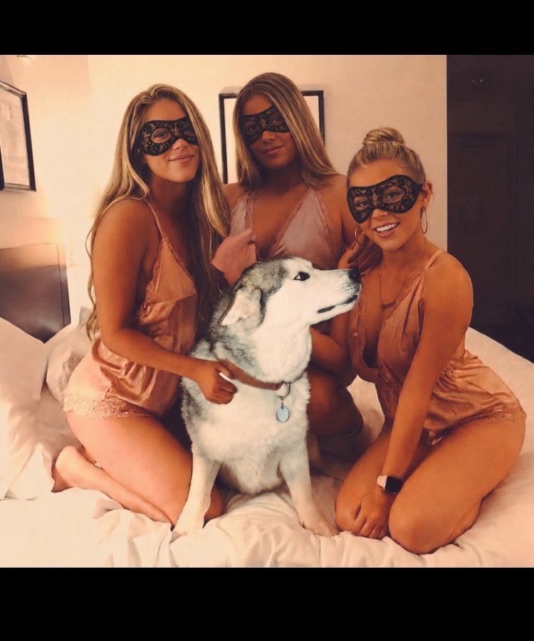 NguyenHannahQ's tweet photo. He looks sweet here.
Last night he mounted me, forced that thick knot in, and kept me locked.
Full video in private.
Link in bio
#dogs #K9 #USA https://t.co/FFGYoSVna1