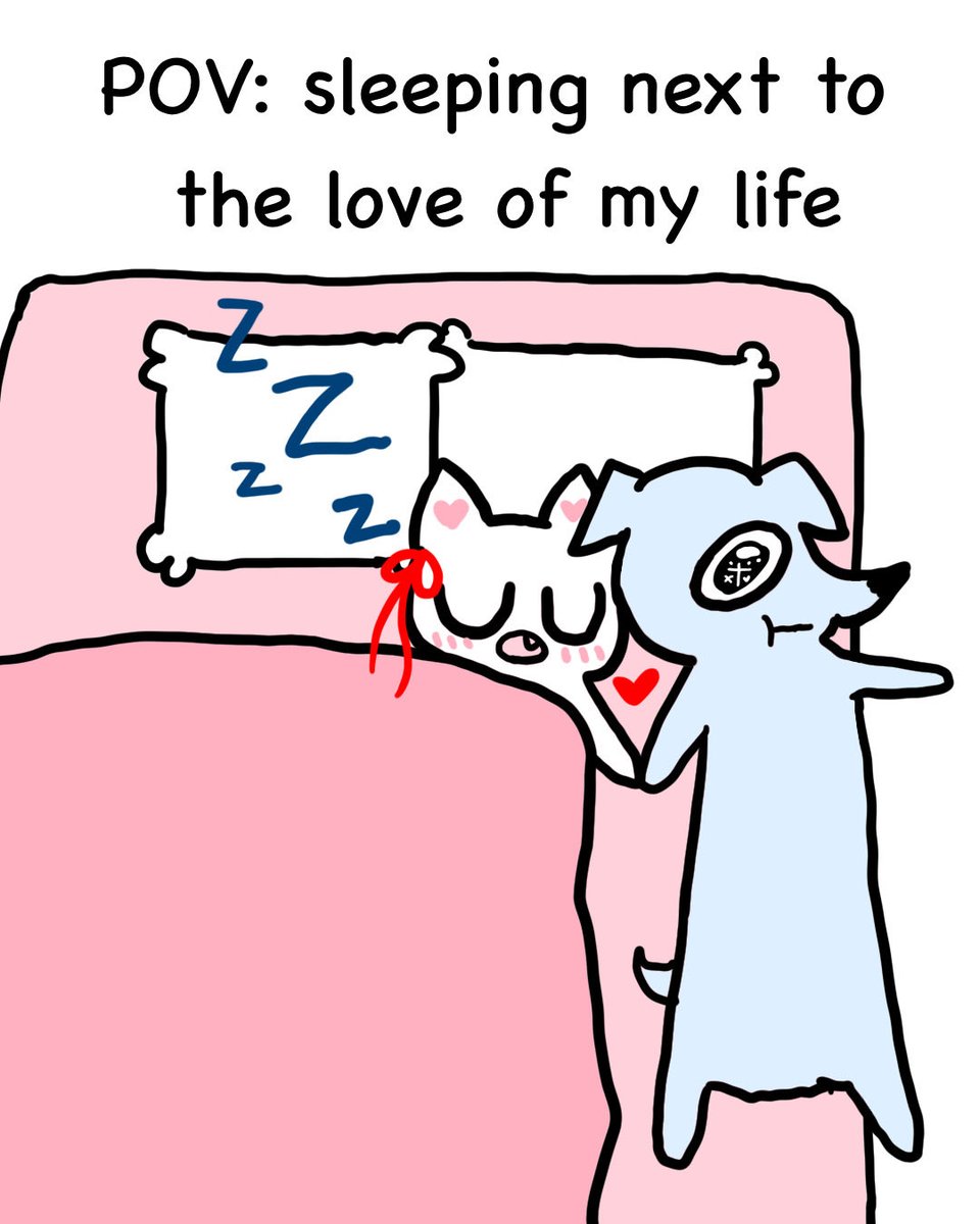 catandgreyhound's tweet photo. I sleep really well :3 https://t.co/G0pNcFUaEY