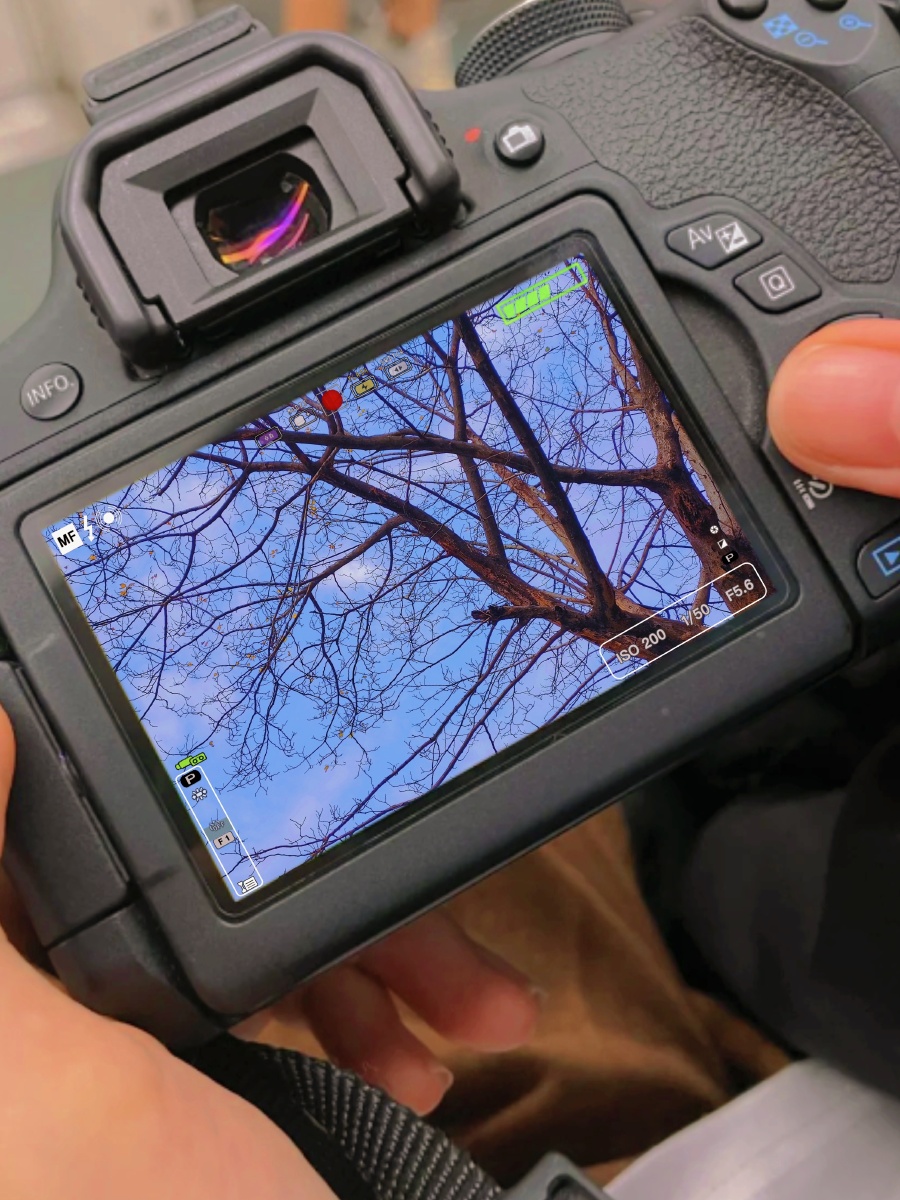 Jeganrp511's tweet photo. New to photography Start with natural light! It’s free, flattering, and perfect for capturing warm, vivid moments anywhere. #PhotoTipsForBeginners， https://t.co/PopVZ3DEus