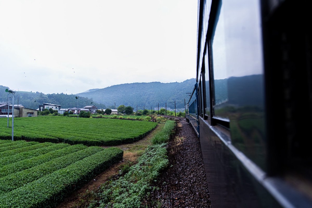 sbkn51's tweet photo. 8/22 
大井川鐵道 EL急行

旧型客車に揺られ、時間旅行へ https://t.co/lutOfUgRwz