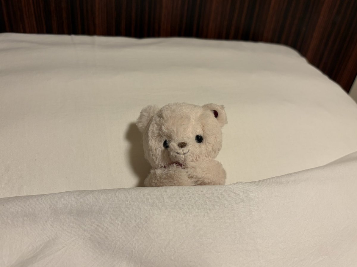 KuMax_1361m's tweet photo. 約2年ぶりの外泊🧸👜 https://t.co/7U7bqc7Ui2