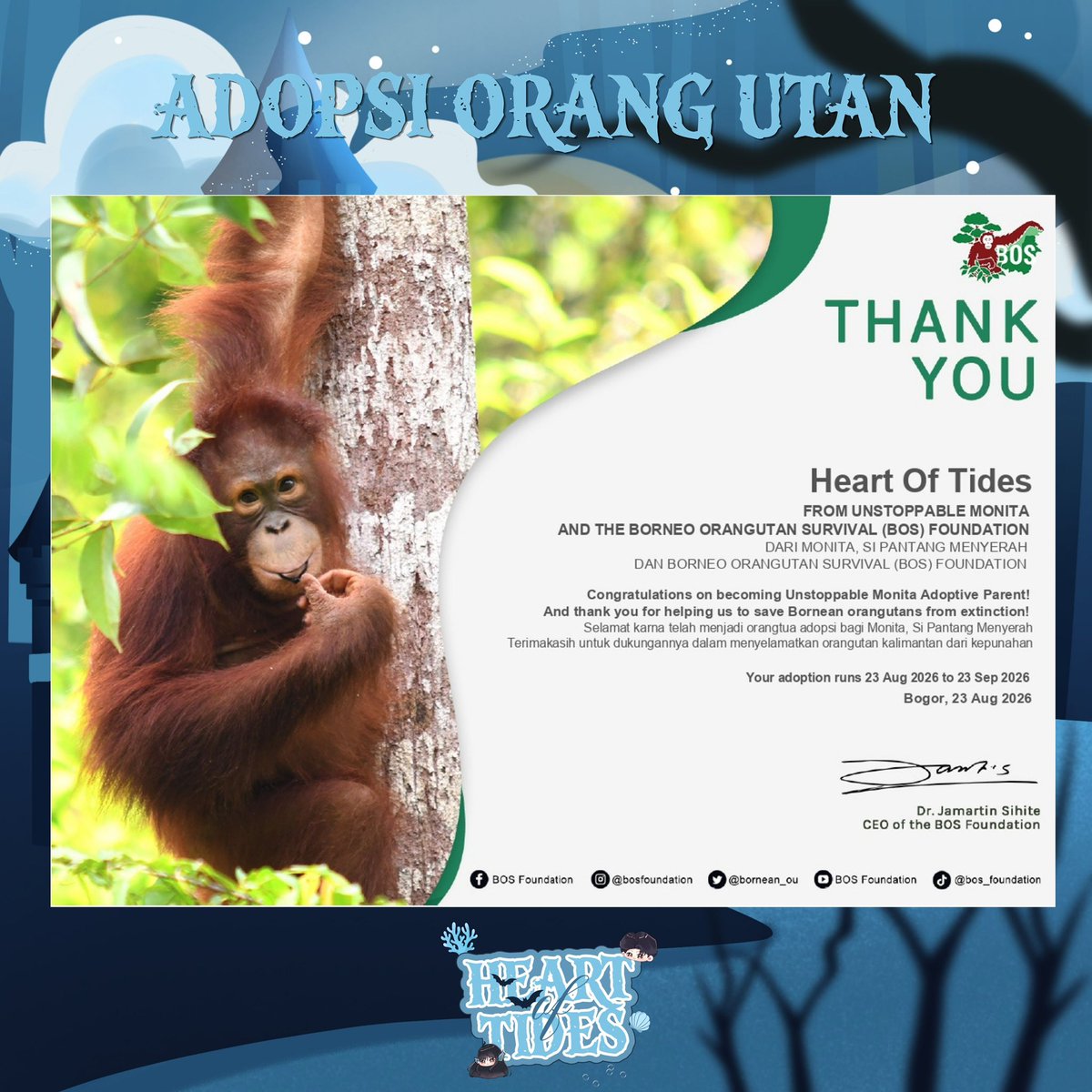 OracleLucano's tweet photo. @HeartofTides Meet Monita. 🦧

She’s an orangutan, adopted in Heart of Tides name, sbg bentuk kecil dari kebaikan yang bisa terus hidup mski cerita kita usai. Kaya kalian yg terus bertahan smpe berhasil melindungi Heart of Tides, smg dia jg bisa terus tumbuh dan menjalani hidupnya dengan aman. https://t.co/9aaNRsUA5H