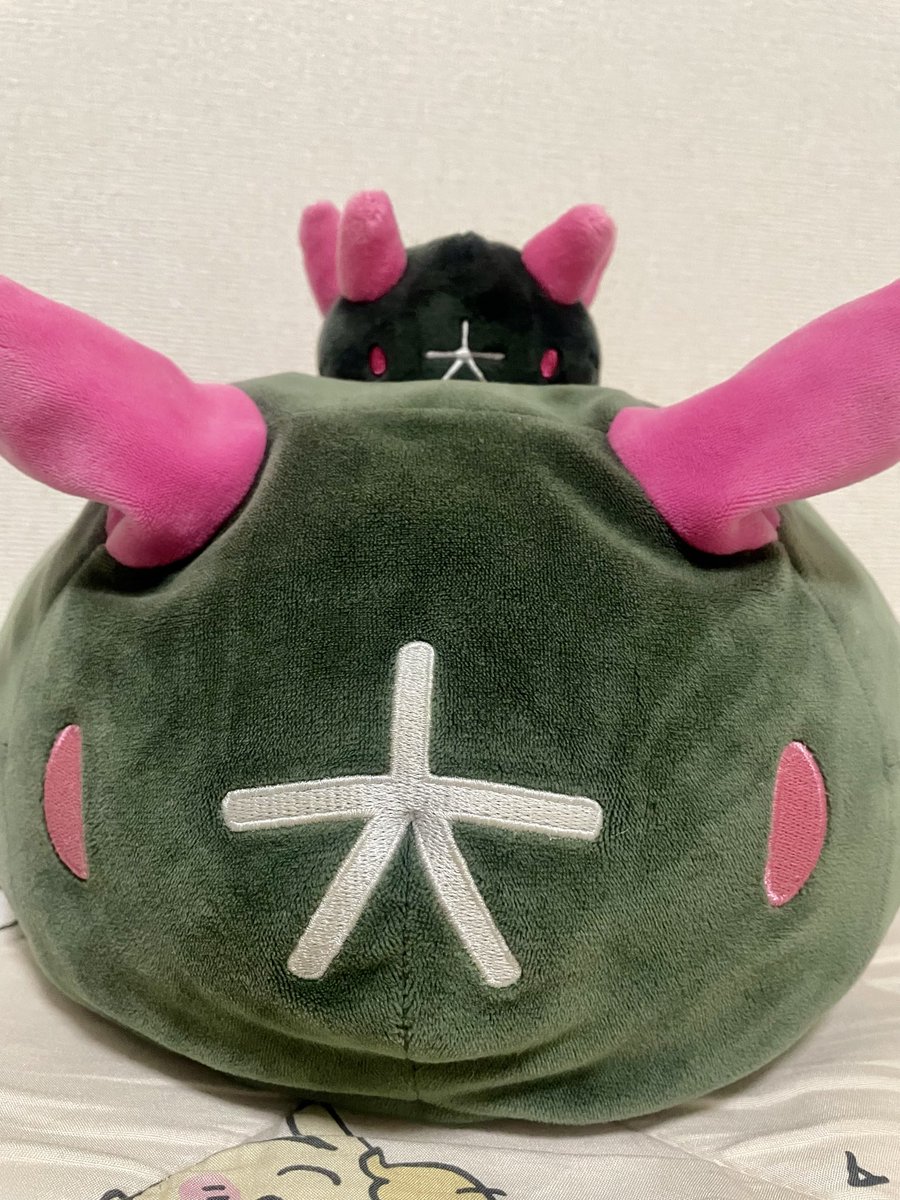 hoshi_sb2's tweet photo. へにょへにょのデカもいます…☺️💦💦 https://t.co/xoqokLjyOX