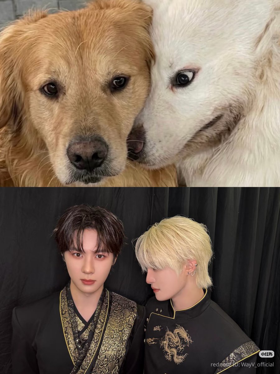 WayV_Airlines's tweet photo. #WayV XHS Update 

You’re on my left, and I’ll stay right by your side 💚

WayZenNi, this is how you take photos when you meet!

**Taking photos with handsome guys backstage at shows 100 times 💯 (31/100)

🔗 https://t.co/kRLr3eB2ec

#WayVxTIMA2026
#TIMA2026 https://t.co/9J9e7vgaRj