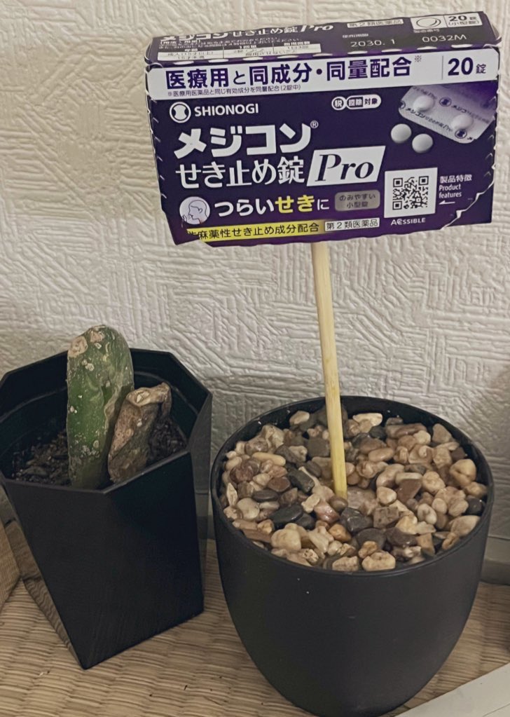 herashiba2's tweet photo. ねぇ、知ってる？

メジコンって、植えたら育つんだよ。

一度に3tくらい撒いて、
グレープフルーツジュース(100%)を3日に1回くらいかけてあげよう。

うまくいくと、2枚目の写真みたいに、
高純度のデキストロメトルファン結晶が生えてくるよ。
綺麗だね。 https://t.co/f88NvuzgRi