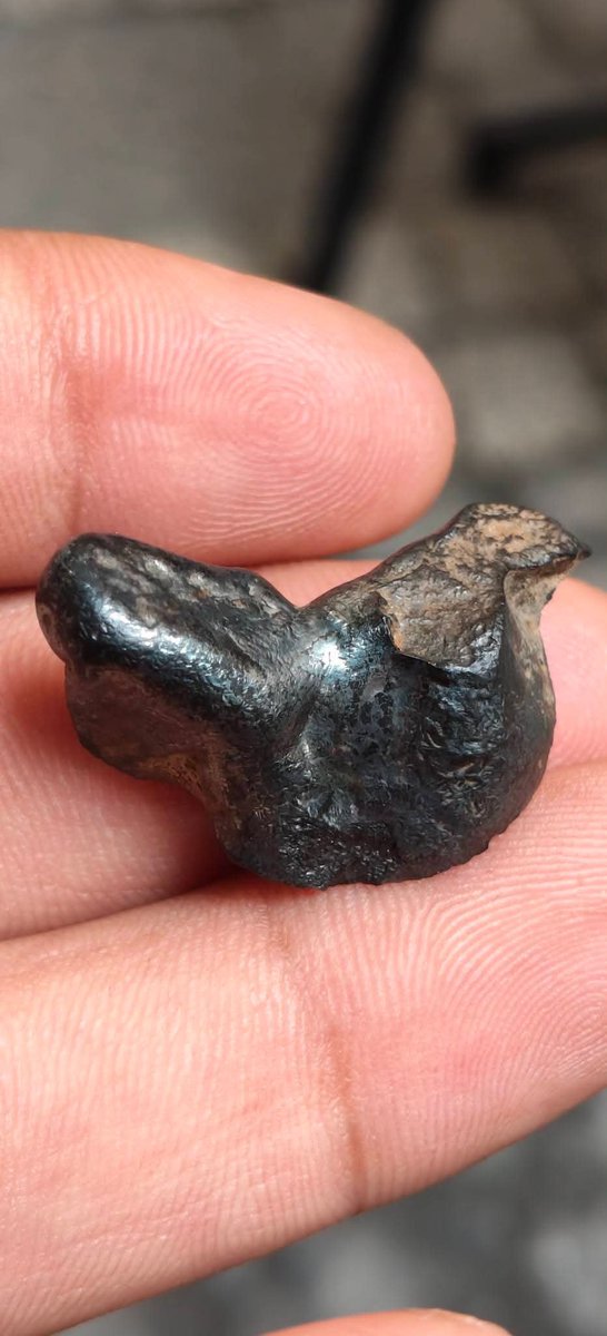 Malatyaargal's tweet photo. Meteorite
#MeteoriteHunter
#MeteoriteShower
#Meteoritecollectione
#MeteoriteWorld https://t.co/q0jhG3C7DG