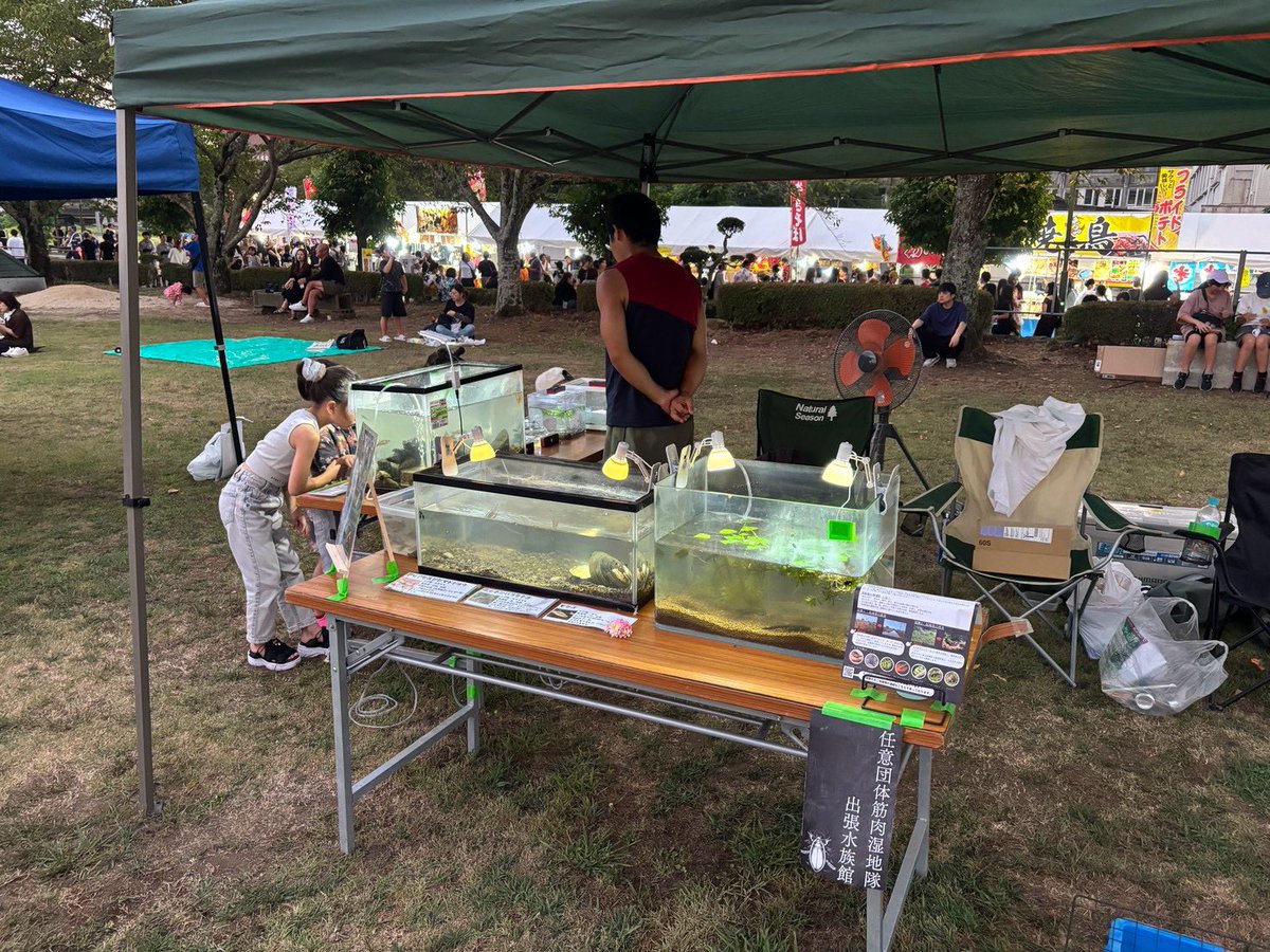muscle_sicchi's tweet photo. 昨日は大阿蘇の火の山祭りで移動水族館を出展しました!!!!

筋肉湿地隊初のイベント出展でしたが、約300人の方々にお越しいただき、大盛況でした！👍

お越しいただた皆様、ありがとうございました!!!!🙌 https://t.co/k7Wi4VQZcC