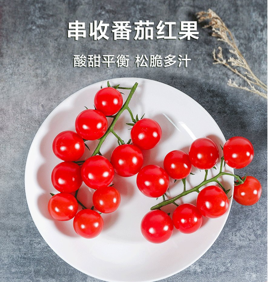 ylichka06049982's tweet photo. Tasting this fresh cherry tomato from the local farm—bursting with juicy sweetness, no weird aftertaste at all! Perfect for salads or a quick snack. ， https://t.co/pxiS6Wi4lg