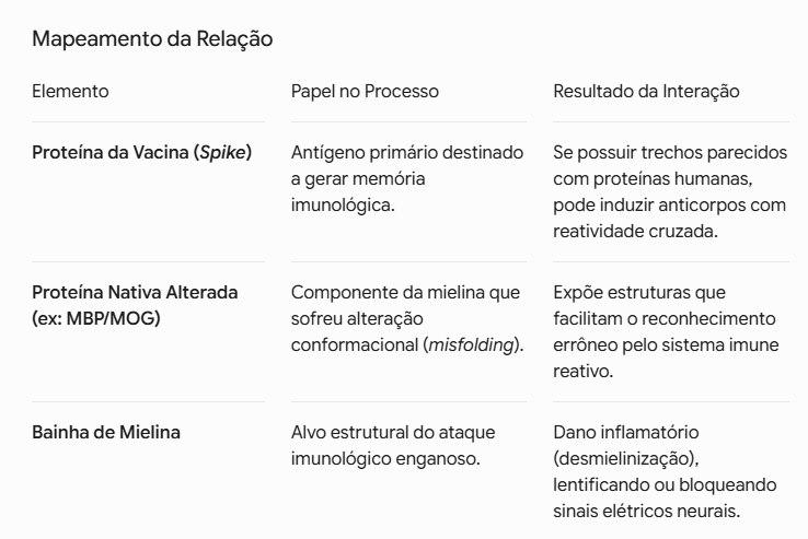 theinformalist's tweet photo. A explicação desse mecanismo é o seguinte:
A proteína spike das vacinas (que já são alteradas) interagem com proteínas Nativas do corpo. As proteínas nativas sofrem alteração, a alteração pode ser conformacional (Priônica), desencadeando inflamação das Mielinas — daí a doença. https://t.co/P1YxjEbPwo