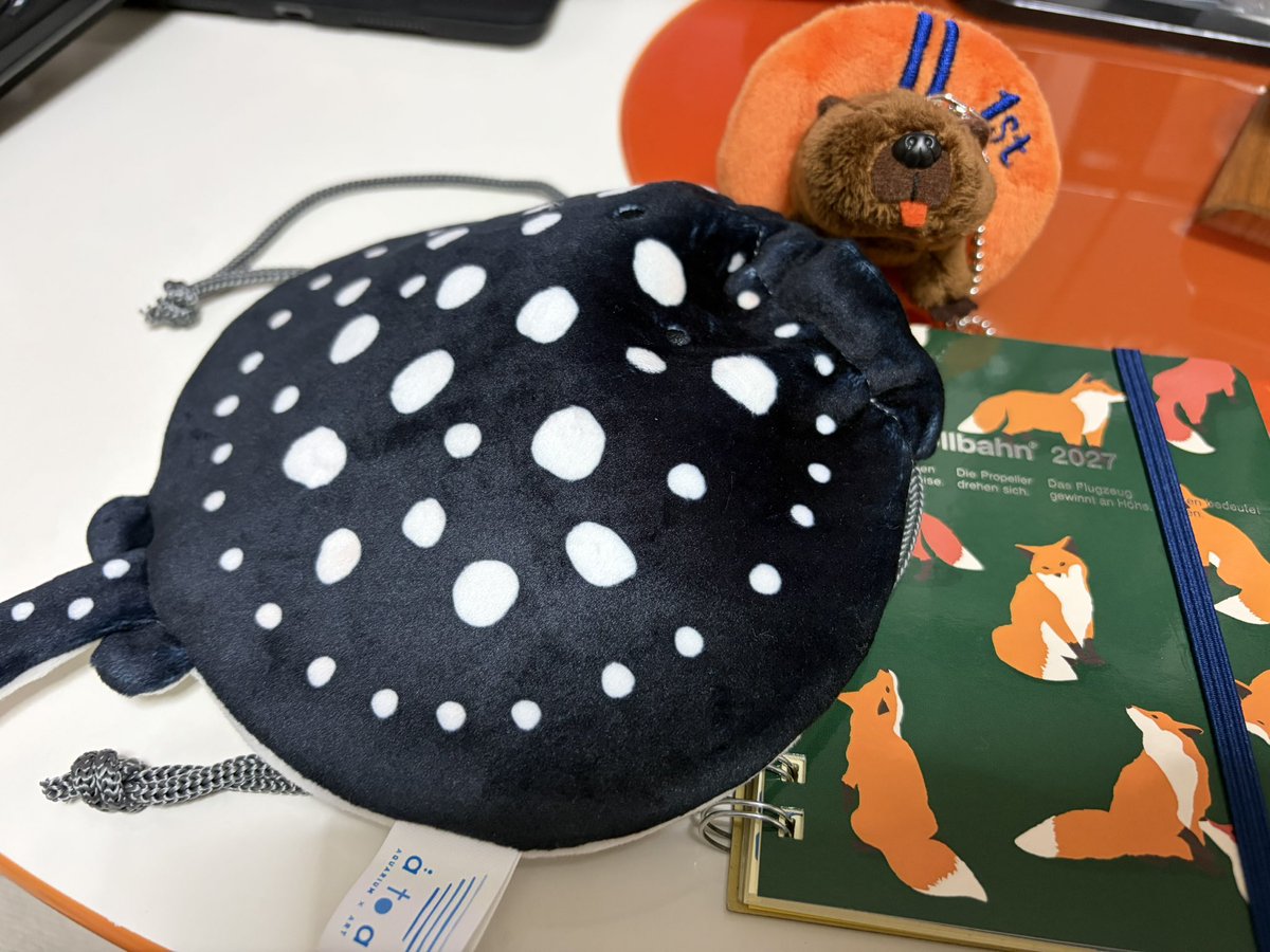 monochroholic's tweet photo. ポルカドットスティングレイ可愛いじゃん
365日🦫も確保 https://t.co/jp60ABWyGc