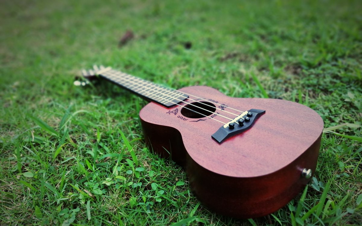 MichRiley08's tweet photo. Wanna unlock a new hobby this week Try picking up a ukulele—small, easy to learn, and perfect for strumming along to your favorite songs anytime, anywhere. No pressure, just fun!， https://t.co/JyW5eqymLG