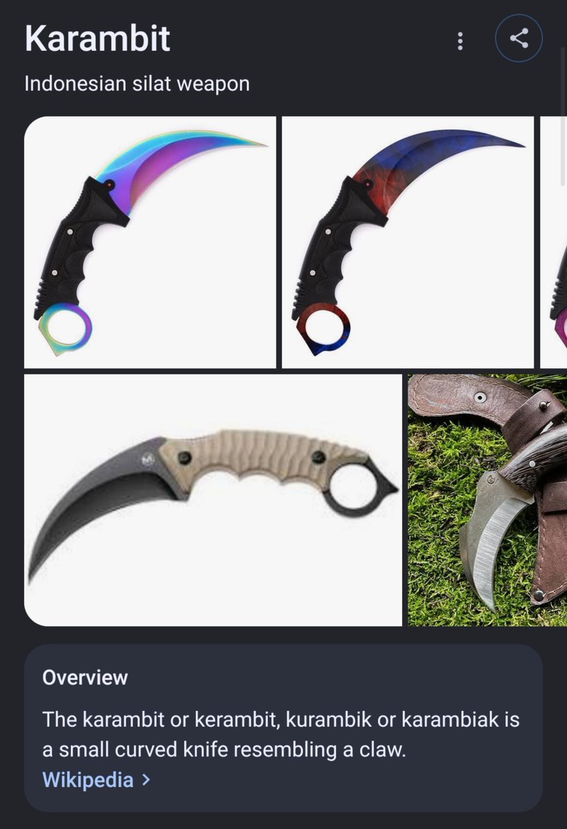 uponyourshadow's tweet photo. so it wasnt a chain whip ITS A KARAMBIT?????? https://t.co/h5hvT4W5YG