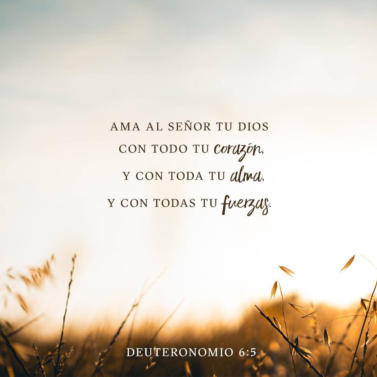 EmigdioAvila1's tweet photo. https://t.co/dmgiMNuP56 https://t.co/53XsJhWXeS