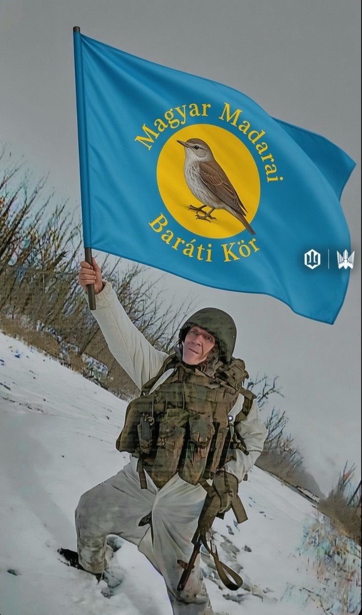 nahuzzalinnen's tweet photo. Птахи Мадяра 4 https://t.co/UBe1jm4qAK