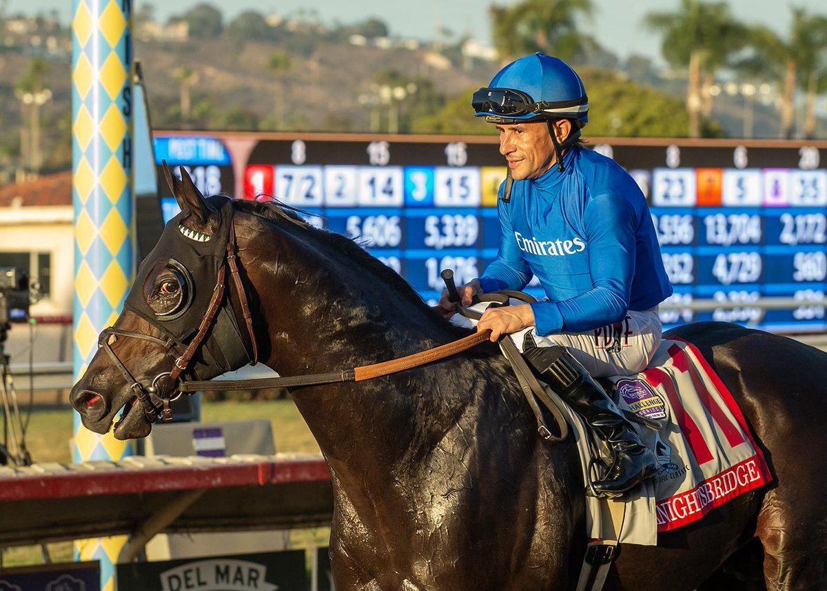 ABRLive's tweet photo. Knightbridge easily handled the two turns and dominated in the Pacific Classic, securing his place in the Breeders' Cup Classic! 🌟

Recap the race via @bloodhorse here: https://t.co/zw81vytgrb https://t.co/p9xlpaastT