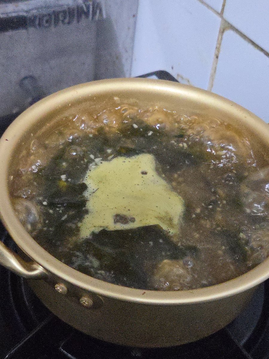 Chocoemon1013's tweet photo. 야밤에 갑자기 미역국 땡겨서 끓이는데 마늘 많이 넣어서 좆된... https://t.co/BgppgKOnch