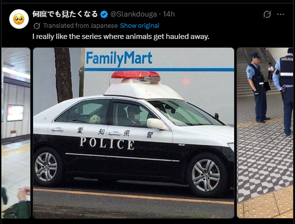 devonsol123's tweet photo. This post is going giga viral with 1.5M views in just 14 hours of Shiba's getting arrested

By far the best image is the shiba starring out the window of the police car, this is the perfect animal sender

Paying dex and making X community at 20k
https://t.co/1NADWdVeKn https://t.co/zOeSjvpSao