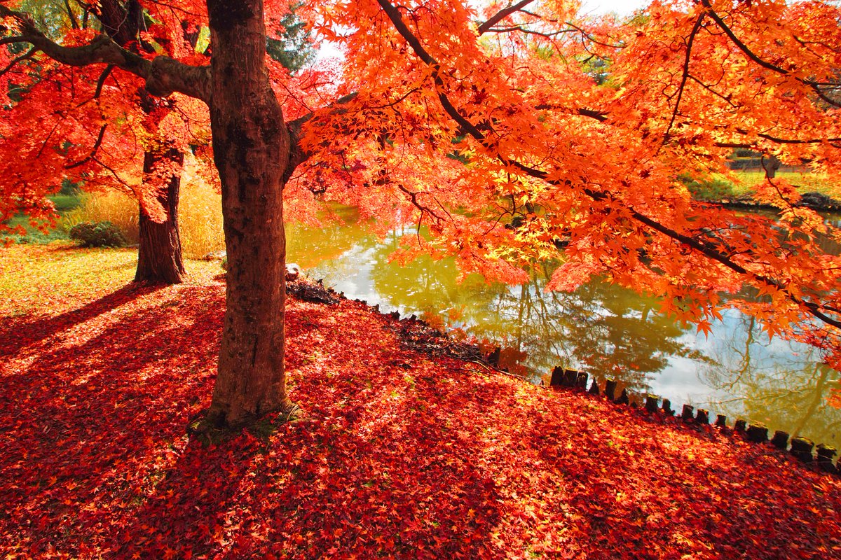 Silvaz165657's tweet photo. Our university photography club’s weekend outdoor shoot is open to all! Capture autumn’s beauty at West Lake, then share your works in our post-shoot mini exhibition. Sign up via our official account—spots limited! Join us for fun and creativity～ https://t.co/jXunjz6OTa