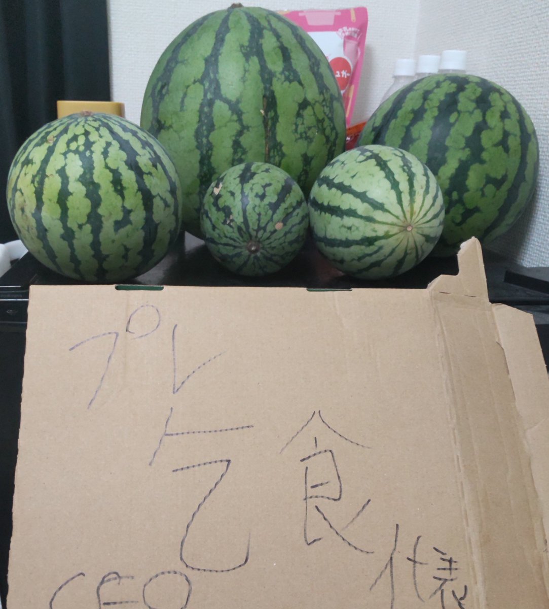 Md_ashar2's tweet photo. ばあちゃんが八王子で育てたスイカ沢山余ってるから誰か要りますか？

甘くておいしいです。

荻窪で手渡し手押し野菜可能です。

郵送なら着払いです。

写真とは別に３０個くらいあります。

なるべく形が良いのをプレゼントします。

傷ありは私が食べます。 https://t.co/bBlfJaXlXi