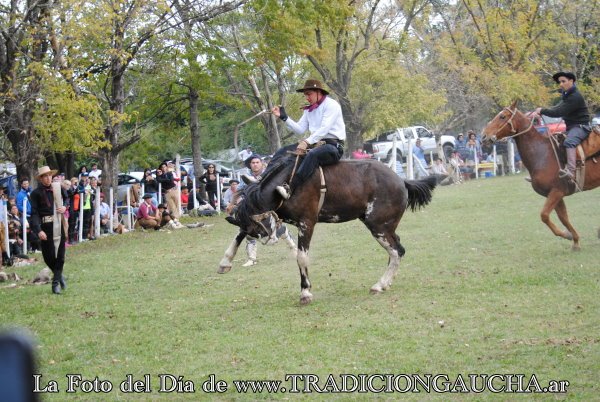 tradiciongaucha's tweet photo. 📸 #FotoDelDía #Jineteada #Tradición
https://t.co/JAtNwCT7Na https://t.co/bpWB1Rvso6