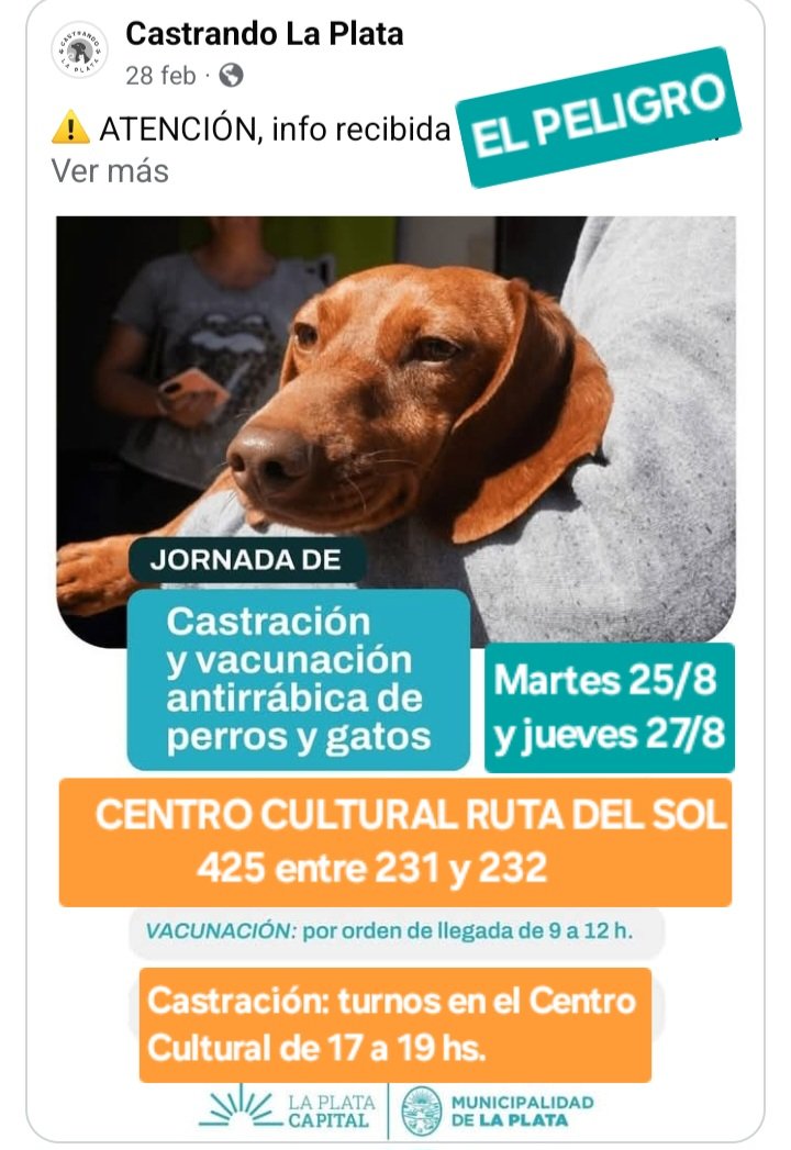 protegealanimal's tweet photo. LA PLATA - EL PELIGRO
CASTRACIÓN: turnos de manera presencial con DNI con domicilio en La Plata.
#LAPLATA #VILLAELVIRA #MELCHORROMERO #CLUBJAPONÉS #ELBOSQUE #GONNET #RINGUELET #ALTOSDESANLORENZO #ABASTO #CITYBELL #ELRINCÓN #GORINA #VILLACASTELLS #ELPELIGRO #BSAS #BUENOSAIRES https://t.co/pogF0rAU9b