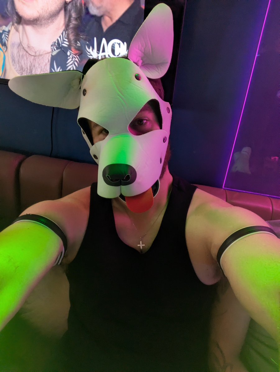 PupUriel's tweet photo. I should really post more often, who wants to see more of me? https://t.co/qTpE8iLkiM