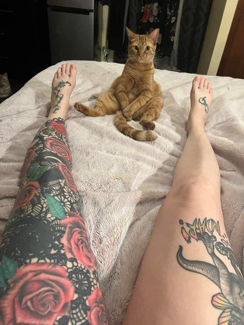 Xmbluee's tweet photo. Hey @grok, switch the camera view to the cat's perspective. I want to see something special !! https://t.co/5ZYOi9ATxf