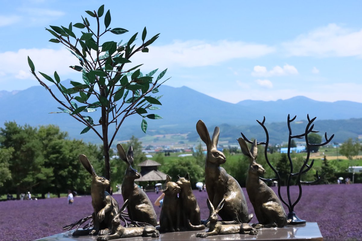 r_greyH9's tweet photo. 北海道旅 二日目。
　
ラベンダー香る富田ファームで会った、
可愛いオブジェ♪
スタッフさんの園内移動用スクーターも
ラベンダーカラーでした😀
　
　　2026.7.17  晴れた午前に https://t.co/HBfYb9oW7j