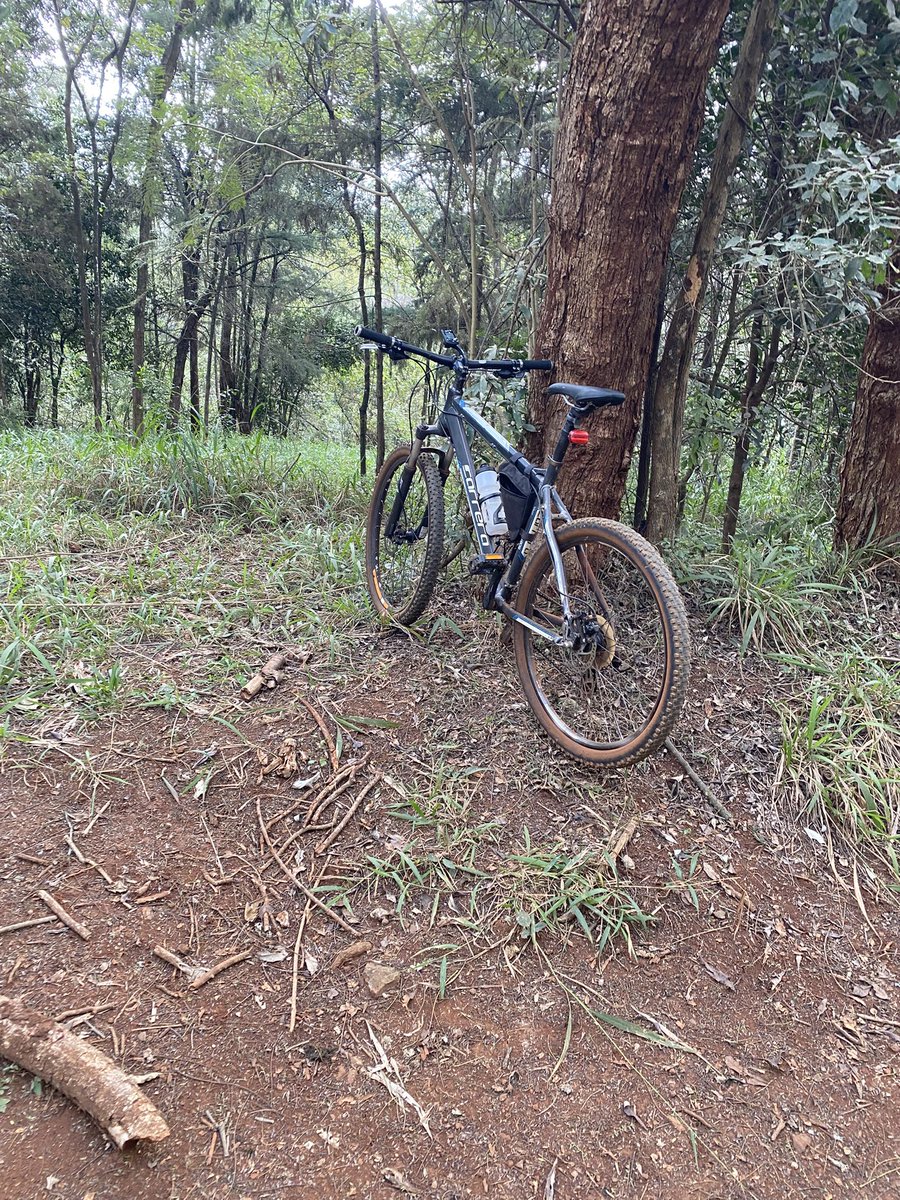 L_padreh's tweet photo. Off~road sundays https://t.co/0nKvkfVfSb