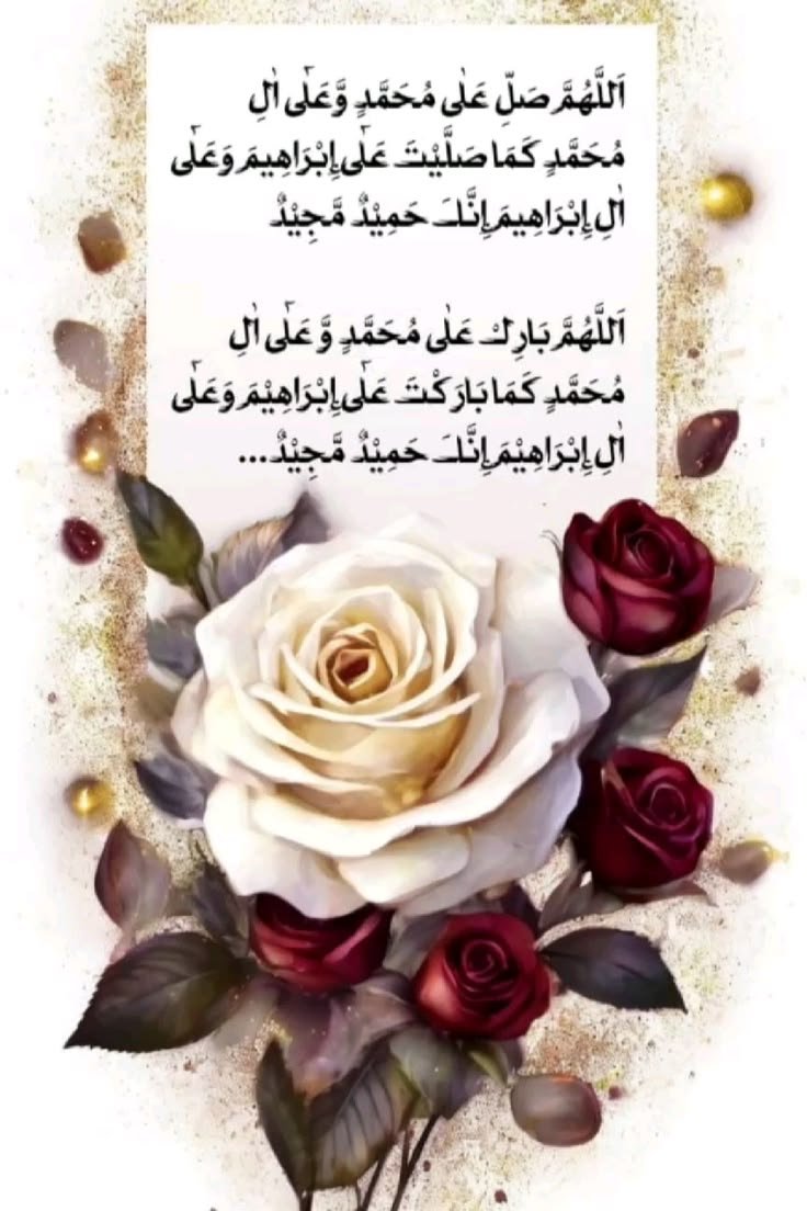 amna_baloch8's tweet photo. https://t.co/GAMtv3BkHl