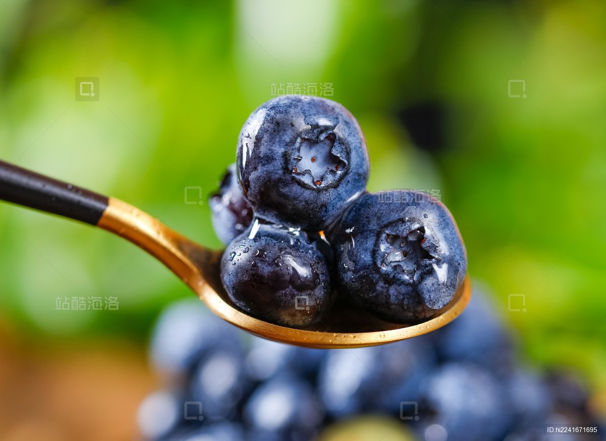 DarkielRoldan's tweet photo. This week’s star find: fresh wild blueberries! Plump, juicy, and packed with natural sweetness—no added sugar needed, perfect for yogurt bowls or snacking straight. 10/10 would recommend!， https://t.co/4BfhnL04ej