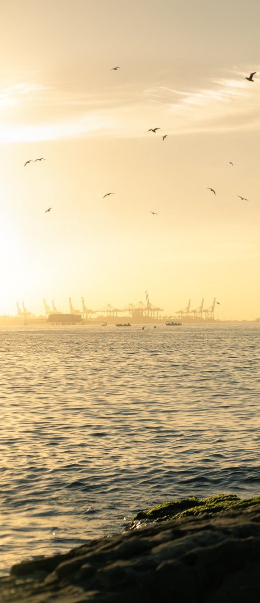 mora_oliver_'s tweet photo. Painting with camera https://t.co/7v4jQBKNYb