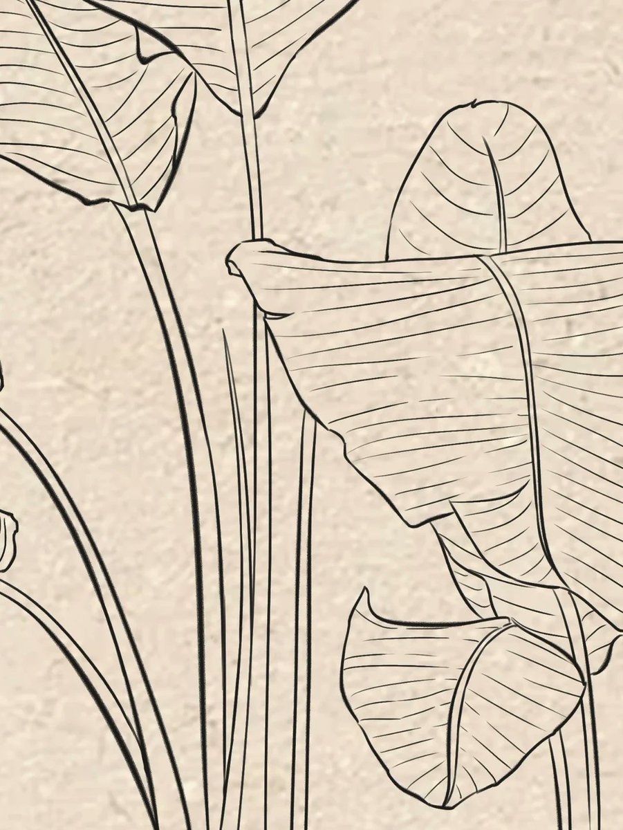 AmMaeder's tweet photo. Tired of scrolling Try 15 mins of sketching daily—no experience needed! Unleash creativity u0026 calm your mind  #HobbyForBeginners， https://t.co/h5P1As5Acn