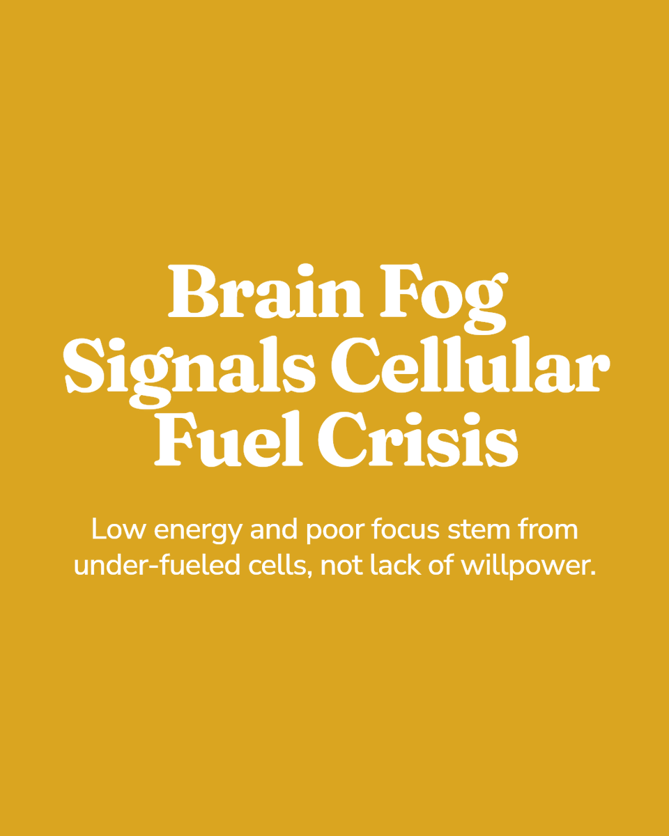 RTkumar's tweet photo. Brain fog in successful men is often a fuel problem, not a motivation problem.

If your cells are under-fueled, your brain feels it first. Low energy, flat focus, and sluggish drive can start with metabolism, hormones, sleep, and inflammation.

comment

https://t.co/O0g2jYntX8 https://t.co/YduMM7S92I