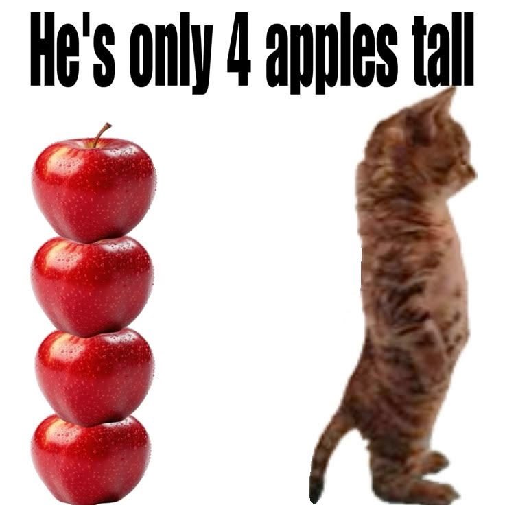 yumaruastar's tweet photo. #nicoapple https://t.co/lRJMHrBWyf