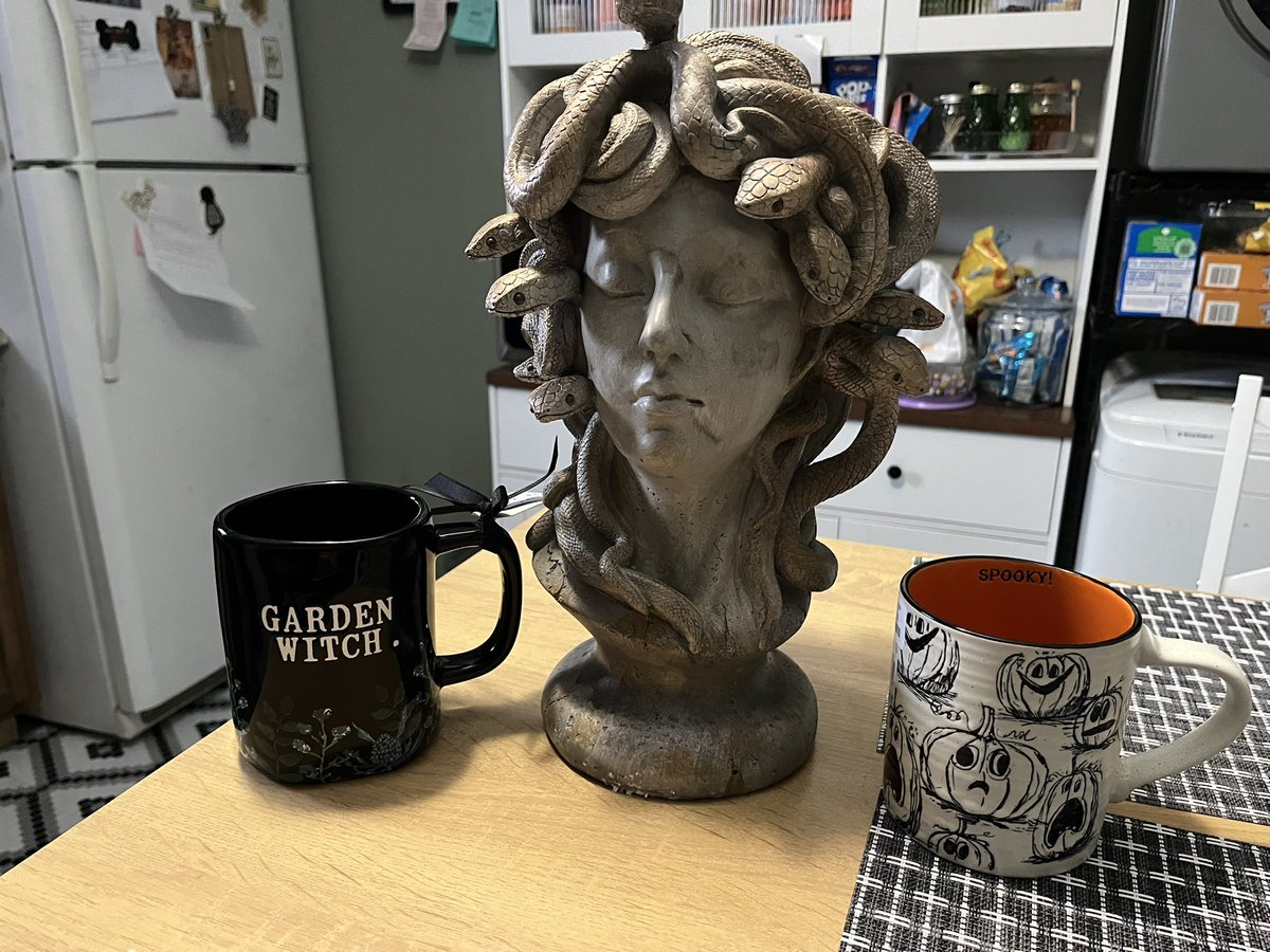 VBiteSizedBabeV's tweet photo. Best thing about Halloween, they finally have decor I fuck with all season long.🍂🍁 https://t.co/Vu8RrBBq41