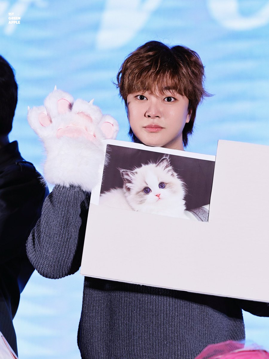 firstgreenapple's tweet photo. 🐈 

👉고양이가 포함듼 모든 사진을 선택해 주새요 ❤️

@boyf_official @BOYF_JM 
 #정민 #jeongmin #보이프렌드 

2026.8.15 
无锡 WUXI Fanmeeting https://t.co/K6A1F9twfi