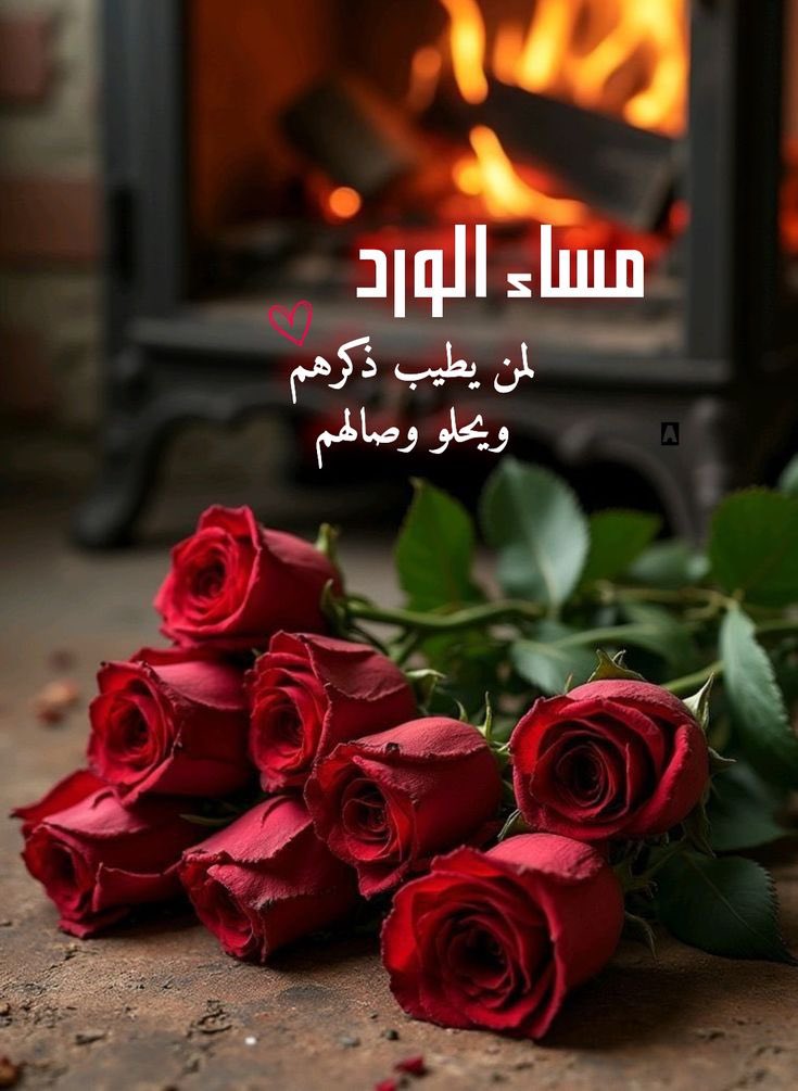 Hamdankathiri's tweet photo. @abeer_albulushi #مساء_الــود_والـــورد 
#مساء_الخير_والسعادة 
#مساء_الخير_والسعادة_للجميع https://t.co/XKIlvPTUS7