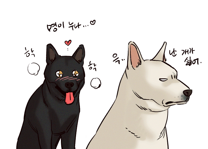 pando_1001's tweet photo. 개들의 동상이몽🐶💭 https://t.co/XAoJqWkV80