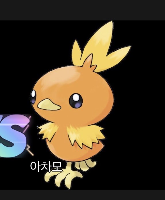 4qoo4era's tweet photo. 수비니 모에화찾을라고 월드컵하는데 갑자기 지유랑 눈마주침 https://t.co/o2Gu7e9huK