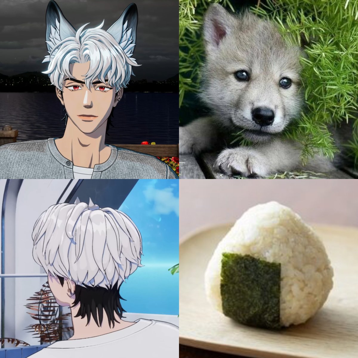 jun_gakke's tweet photo. 샤오랑 🐺 주먹밥 🍙 https://t.co/fSC5JcBsB9