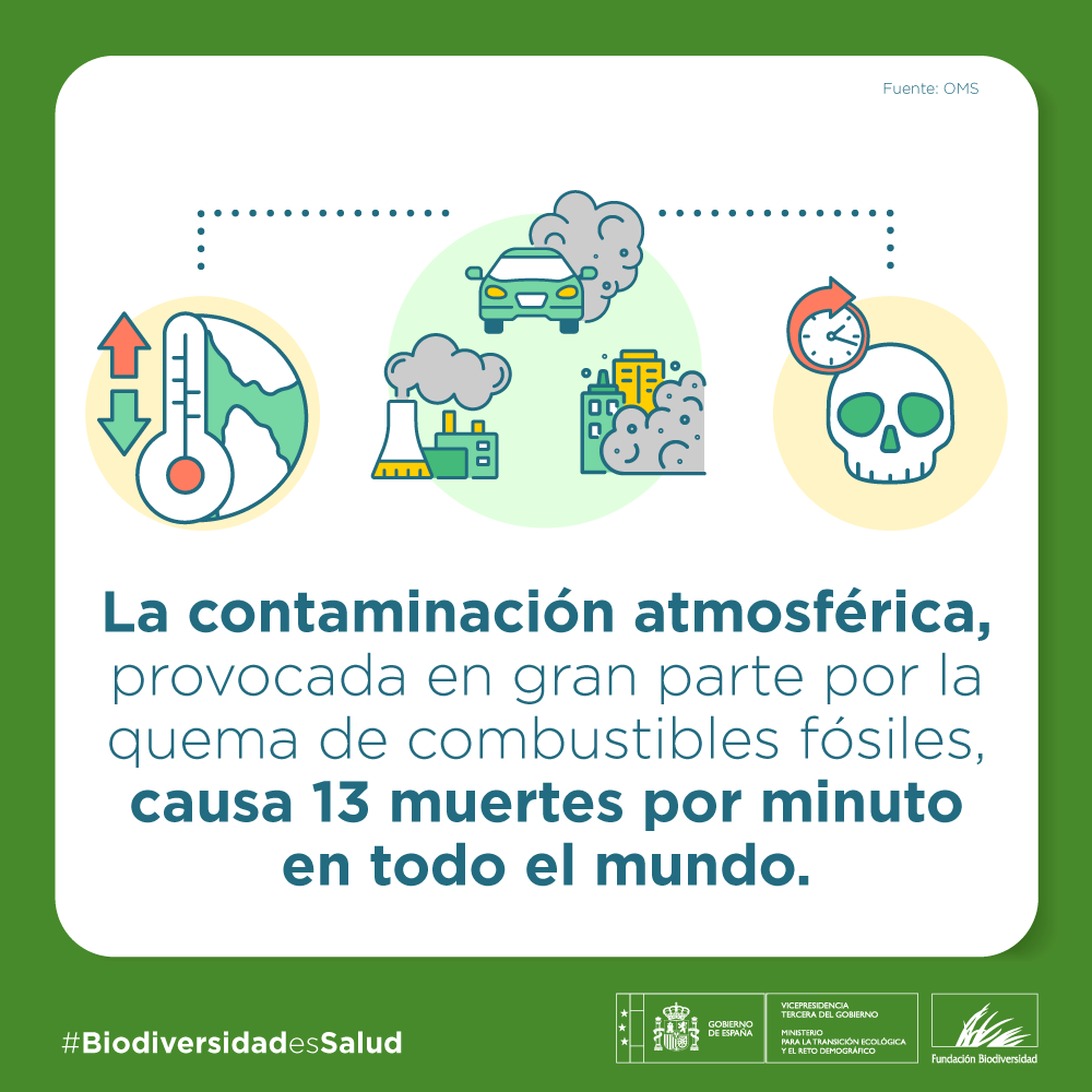 FBiodiversidad's tweet photo. 💨 Reducir las emisiones de gases de efecto invernadero y conservar la #naturaleza son dos acciones que ayudan a disminuir la contaminación atmosférica.

🚶 La movilidad sostenible, la eficiencia energética o una alimentación más sostenible forman parte de la solución.

#BiodiversidadEsSalud