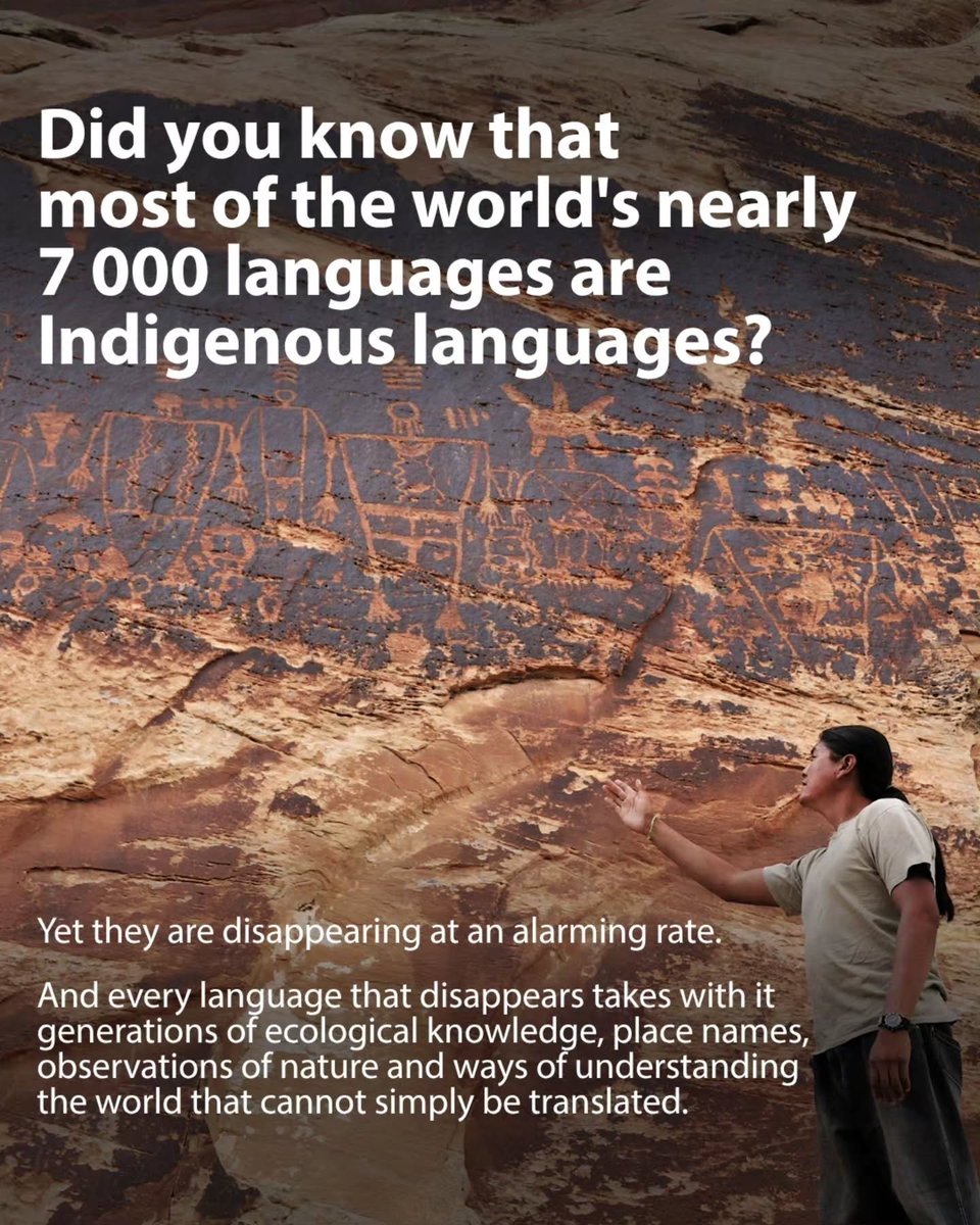 epcleb's tweet photo. #اليوم_العالمي_للشعوب_الأصلية
#International_Day_of_the_World_s_Indigenous_Peoples

#UNESCOCOURIER

قوة معرفة السكان الأصليين
The power of Indigenous knowledge

https://t.co/CyBgRSBkPk https://t.co/nXxiB6oCcS