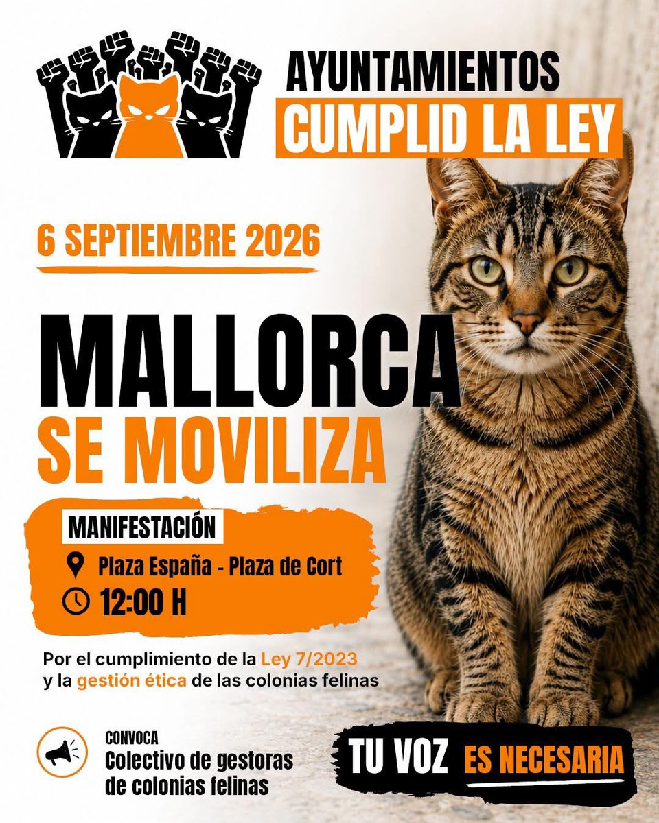 aelmusell's tweet photo. Las Baleares también lo está 🐱✊
Sumamos y seguimos...

¡Nos vemos el 6 de septiembre!
Todos juntos para alzar la voz por y para ellos.

https://t.co/4y5Bp3HYpn https://t.co/B6PKK4RoE8