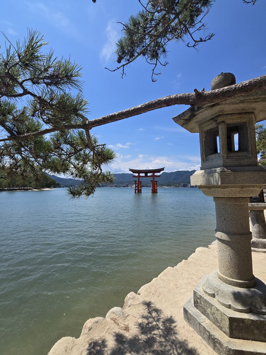 n____tn_o3's tweet photo. 広島旅行🫎⛩🍁
ドラゴンズの選手と同じ宿でした♡かっこよかった～！ https://t.co/tFkoJehstj