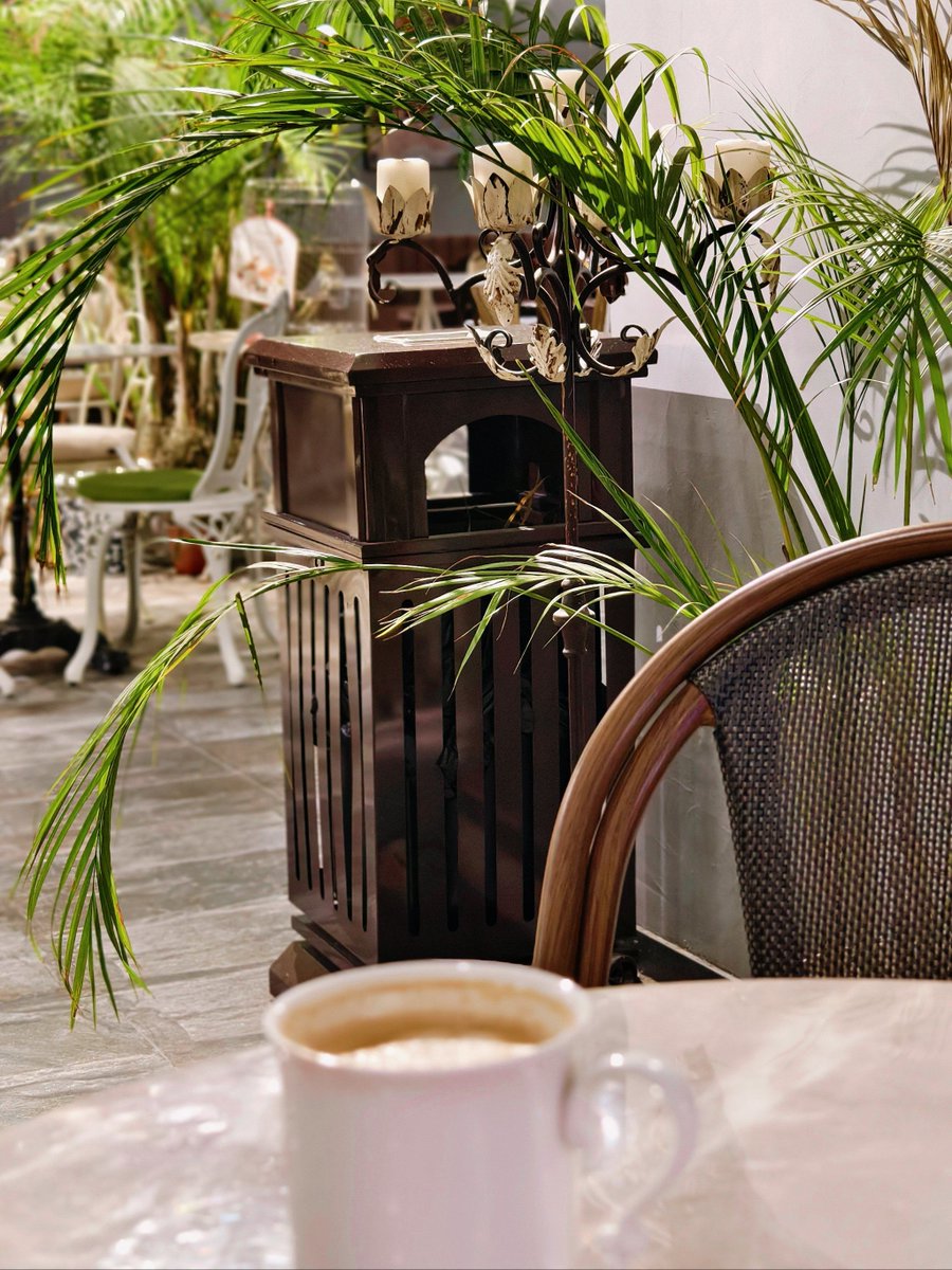 moonhanui's tweet photo. Descubrí una cafetería con café de origen amazónico y pasteles de yuca! Un sabor nuevo que me sorprendió muchísimo hoy.， https://t.co/VGcsjRUBnf