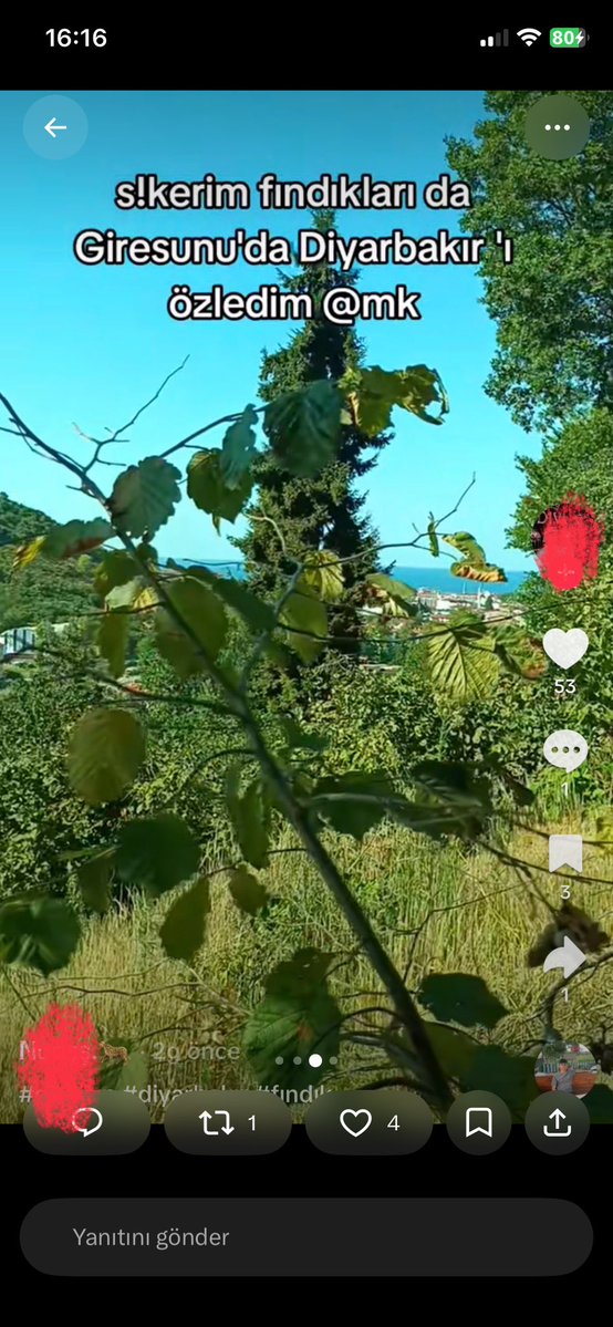 semtbaronuu's tweet photo. @mizginturk4 Cocuklari taşlayanları kınıyorum ama bunu paylasanlari ne yapicaz https://t.co/RjOfJtEspp