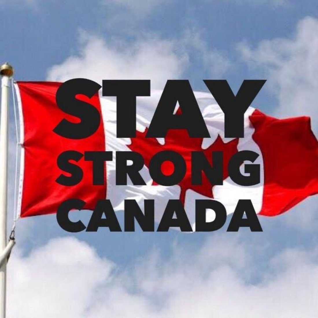 CatCalico738's tweet photo. #Canadian unity=#SURVIVAL

#teamCanada #elbowsup #trumpisaliar 

Ever hear of...
 #divide and #conquer ?

#trump #sovereign #canada #markcarney #premiers #tariffs https://t.co/m8vKzP7HFl