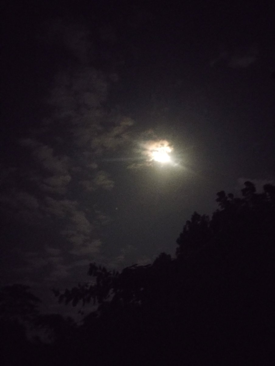 Web3Wingmans's tweet photo. Good Night! all lovely people 😍 

May your night be filled with peace, https://t.co/T95VZmMi4y